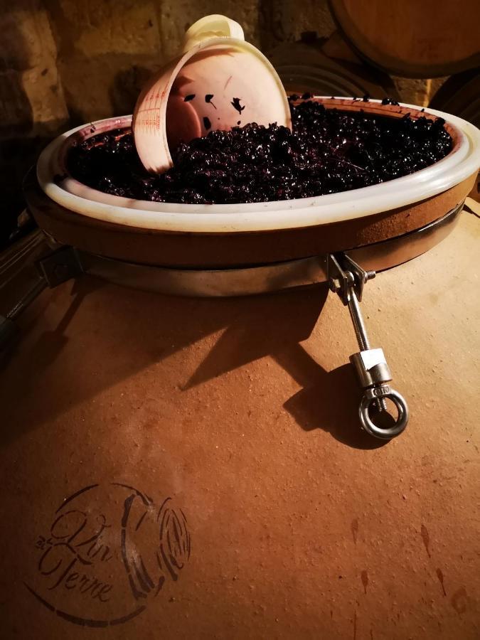 Chateau Cantelaube 생테밀리옹 외부 사진